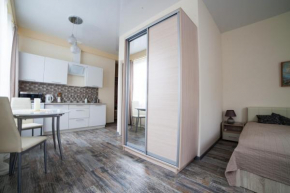Apartment at Tulpanov 3/5